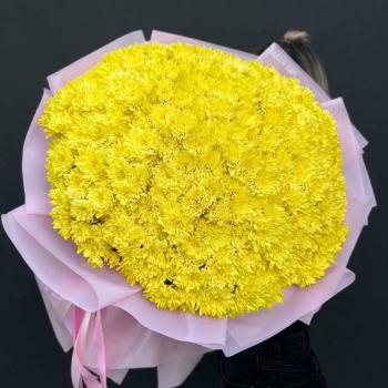 101 жёлтая кустовая хризантема
