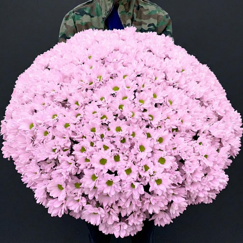 101 светло розовая хризантема