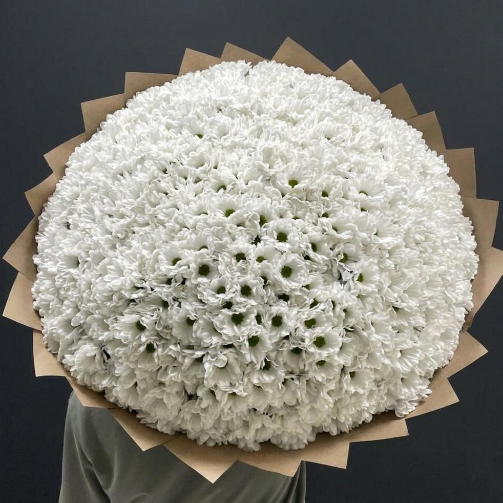 101 белая хризантема