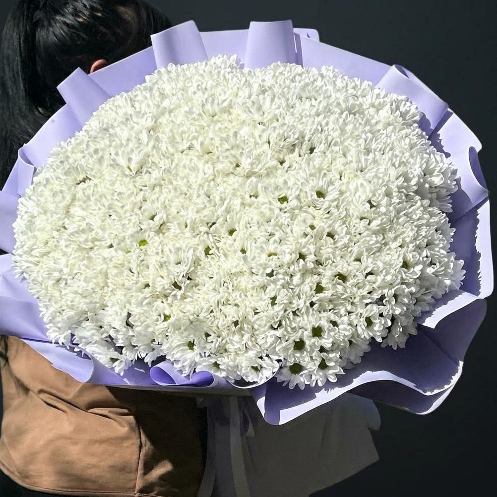 101 белая кустовая хризантема