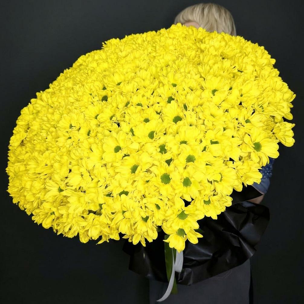 101 жёлтая хризантема в тёмной упаковке