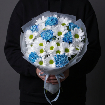 Белые хризантемы с голубыми гвоздиками