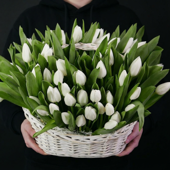 41 белый тюльпан в корзине