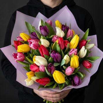 45 тюльпанов микс