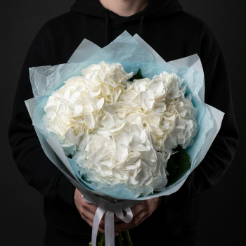 3 белые гортензии в голубой упаковке