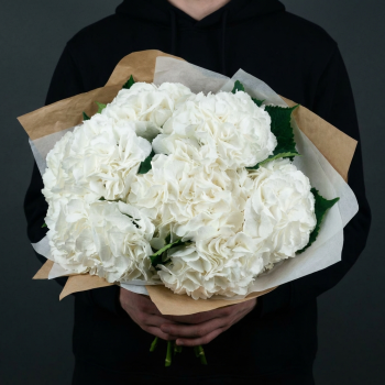 7 белых гортензий в крафте