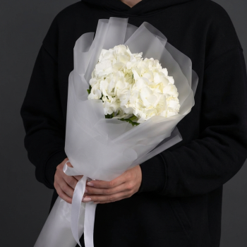 Белая гортензия в яркой упаковке