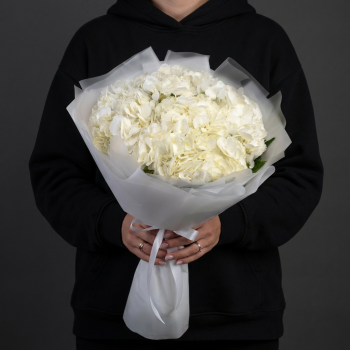 3 белых гортензии в яркой упаковке