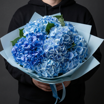 9 голубых гортензий