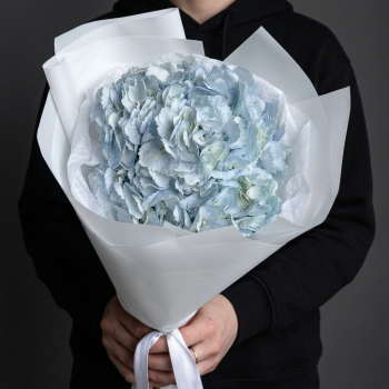 Голубая гортензия в белой упаковке