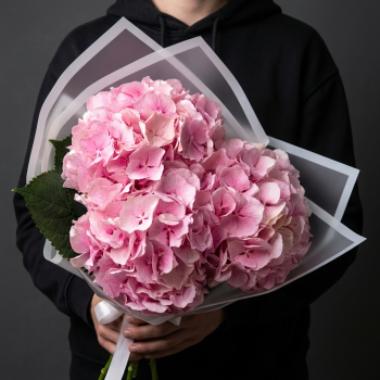 3 розовые гортензии в белой упаковке