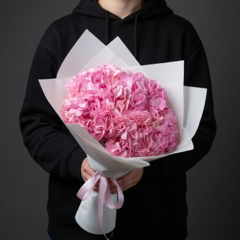 5 гортензий в белой упаковке