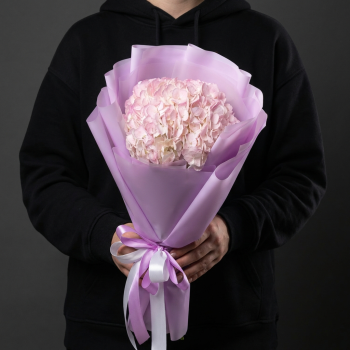 Розовая гортензия в яркой упаковке