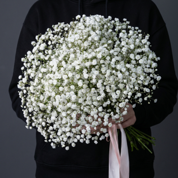 7 белых гипсофил под ленту