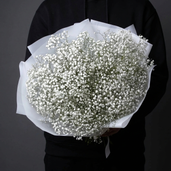 Букет из 9 белых гипсофил