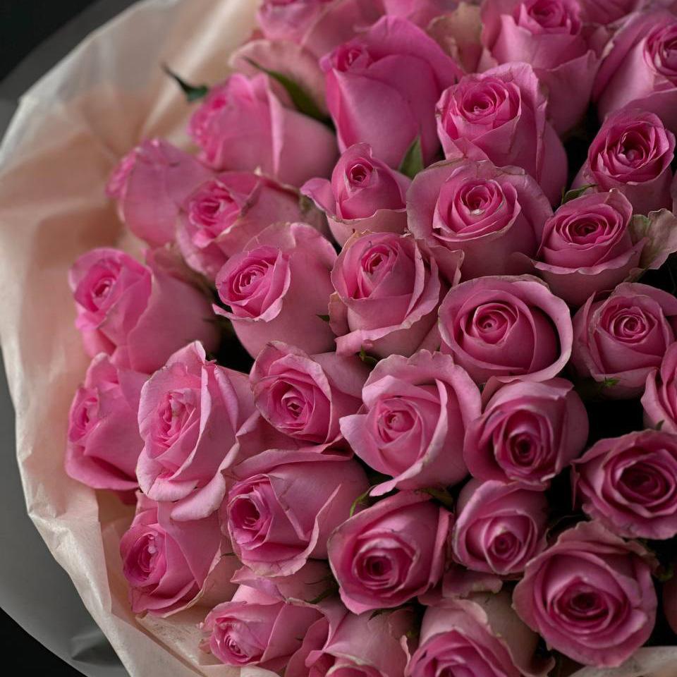 51 розовая роза