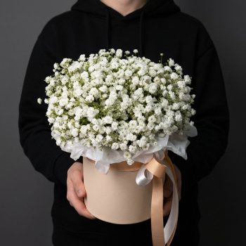 Букет из белых гипсофил в коробке