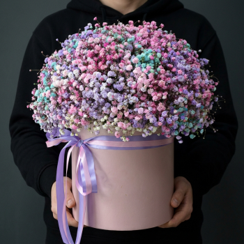 11 разноцветных гипсофил в коробке