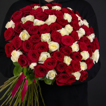 71 красная и белые розы
