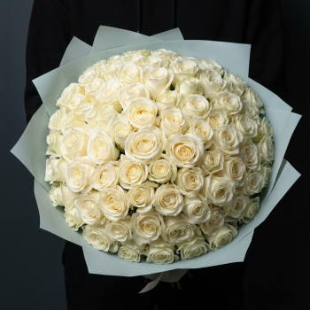 71 белая роза