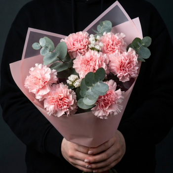 7 розовых гвоздик с эвкалиптом