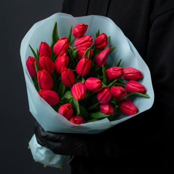 25 красных тюльпанов в голубой упаковке