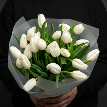 25 белых тюльпанов в стильной упаковке