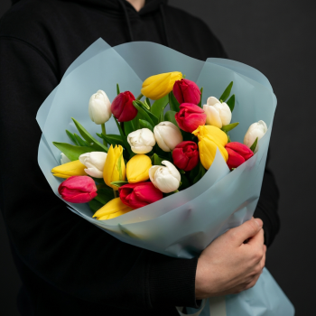 25 разноцветных тюльпанов