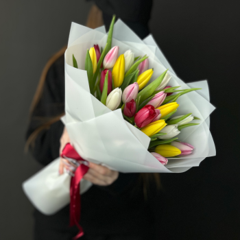 Букет из 25 тюльпанов