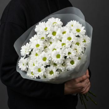 Букет из белых кустовых хризантем Бакарди