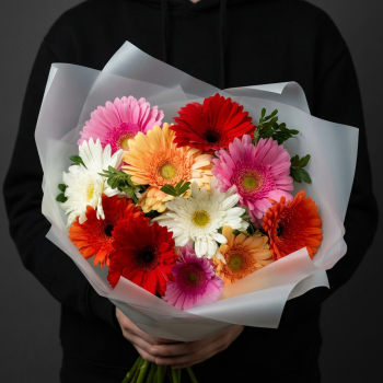 11 разноцветных гербер