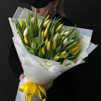 51 разноцветный тюльпан